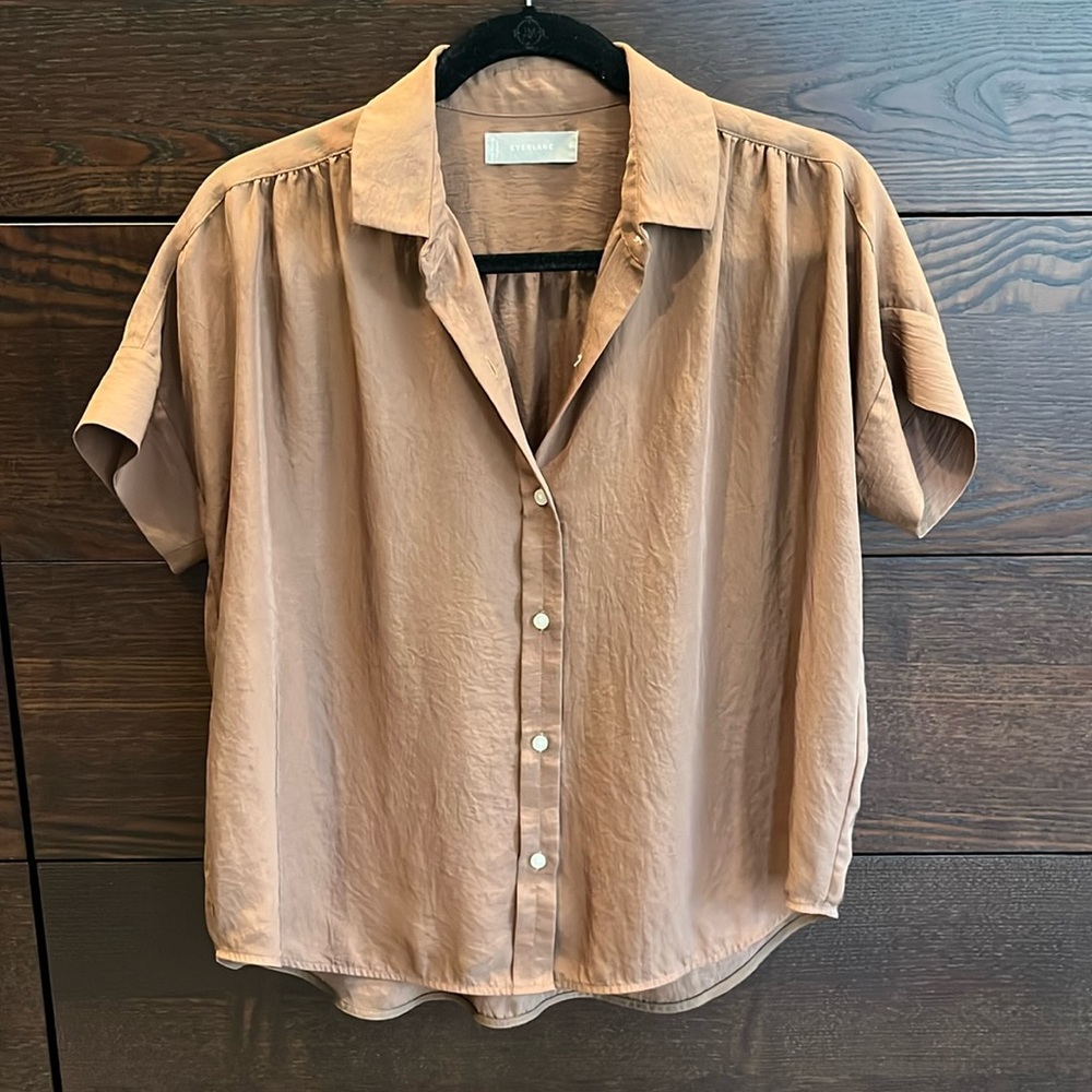 Brown Silk Everlane Top